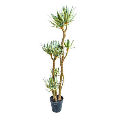 Faux Madagascar Dragon Tree