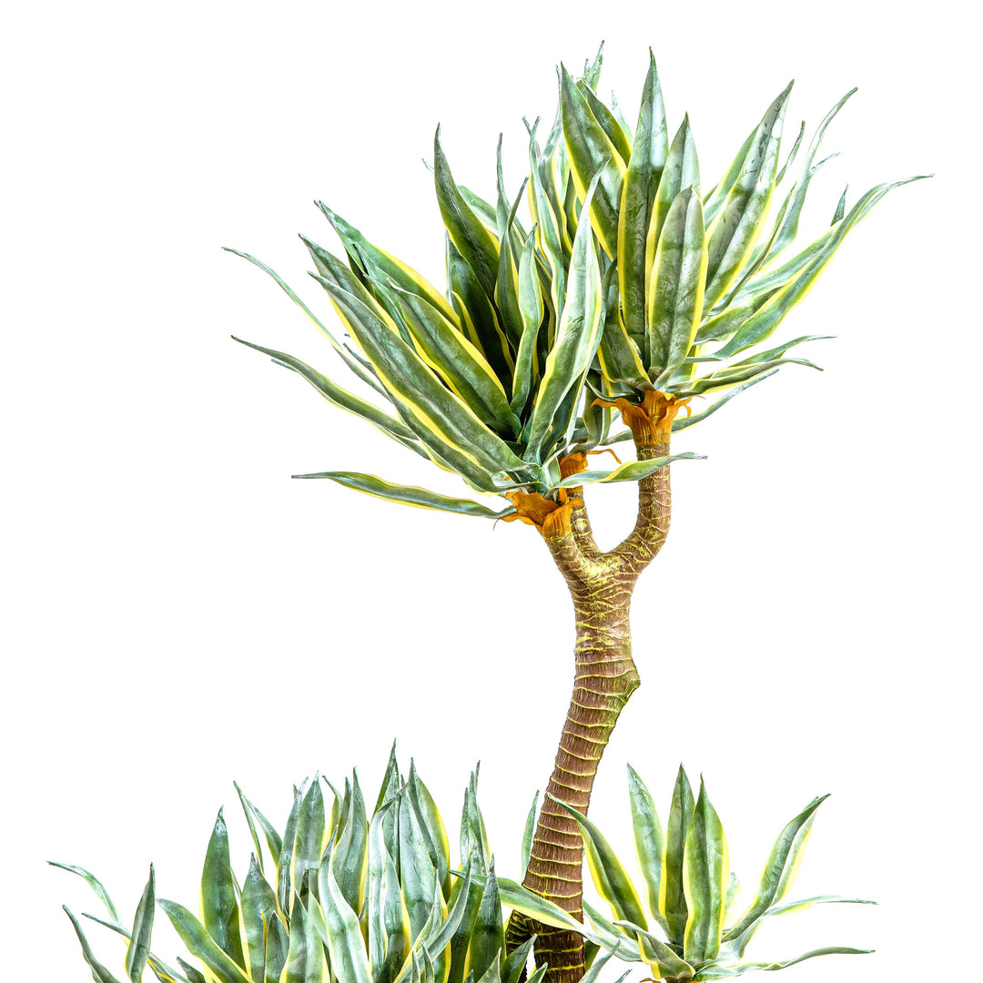 Faux Madagascar Dragon Tree
