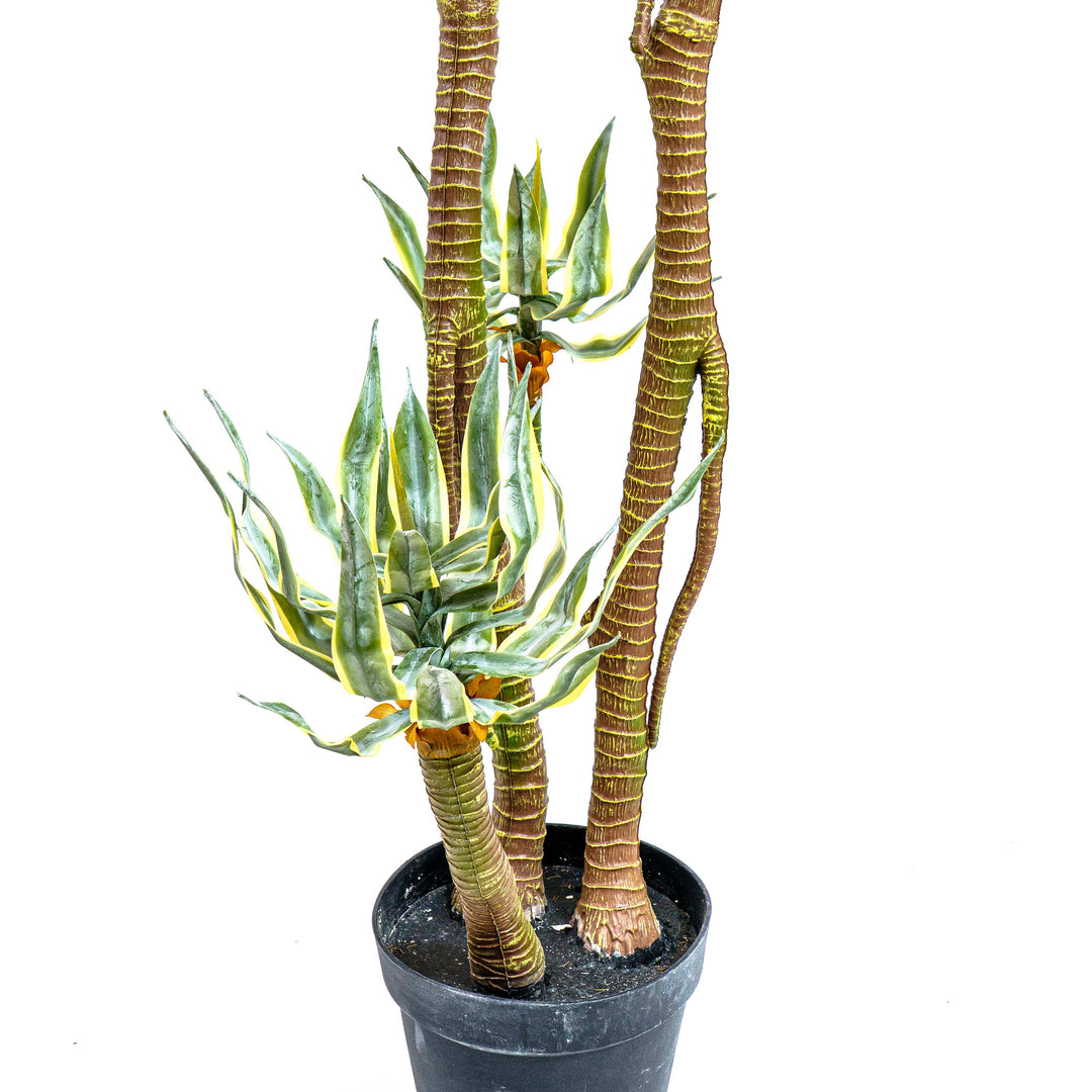 Faux Madagascar Dragon Tree