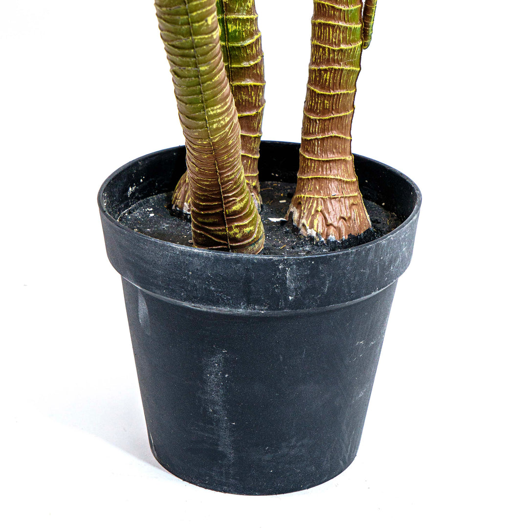 Faux Madagascar Dragon Tree
