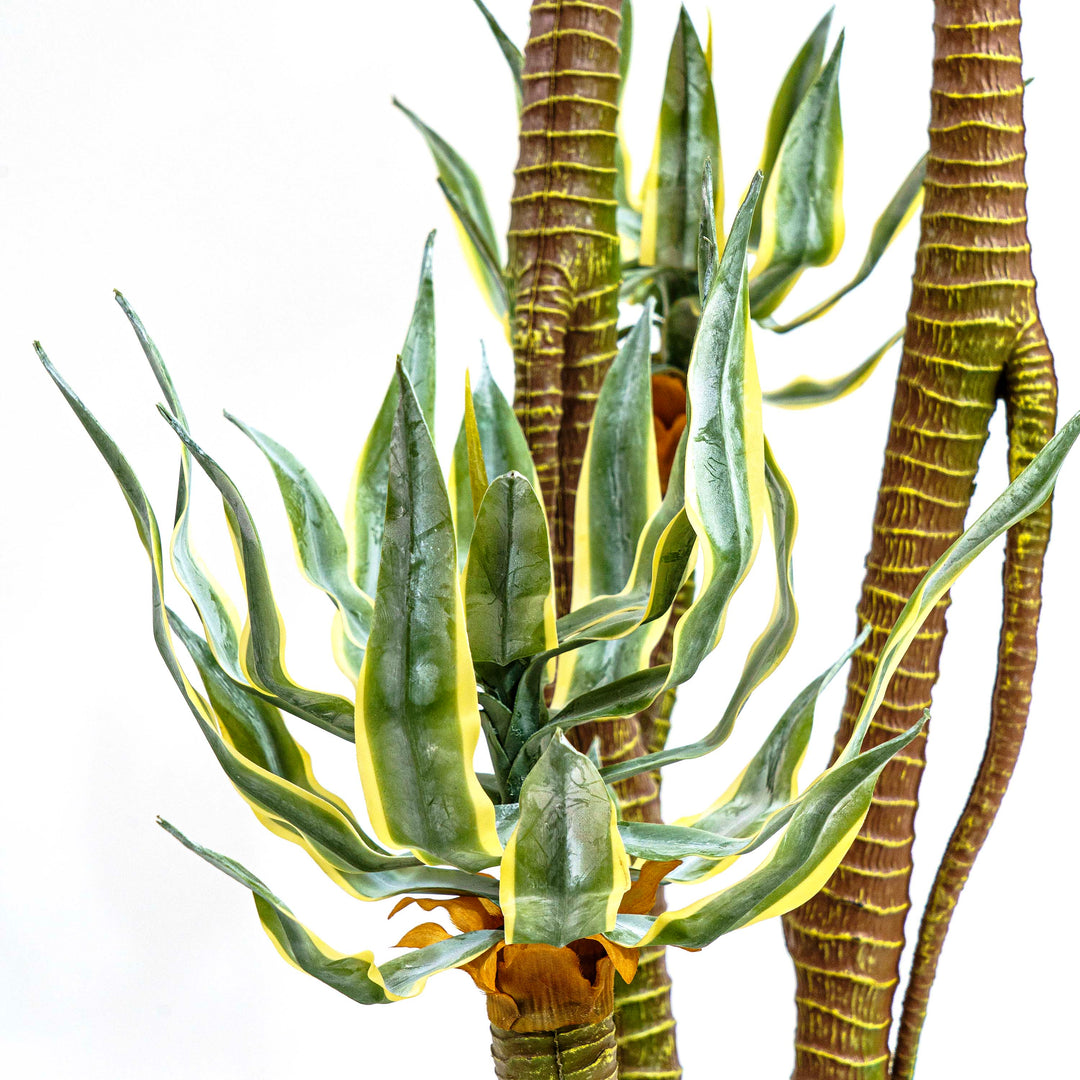 Faux Madagascar Dragon Tree
