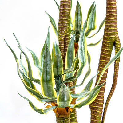Faux Madagascar Dragon Tree