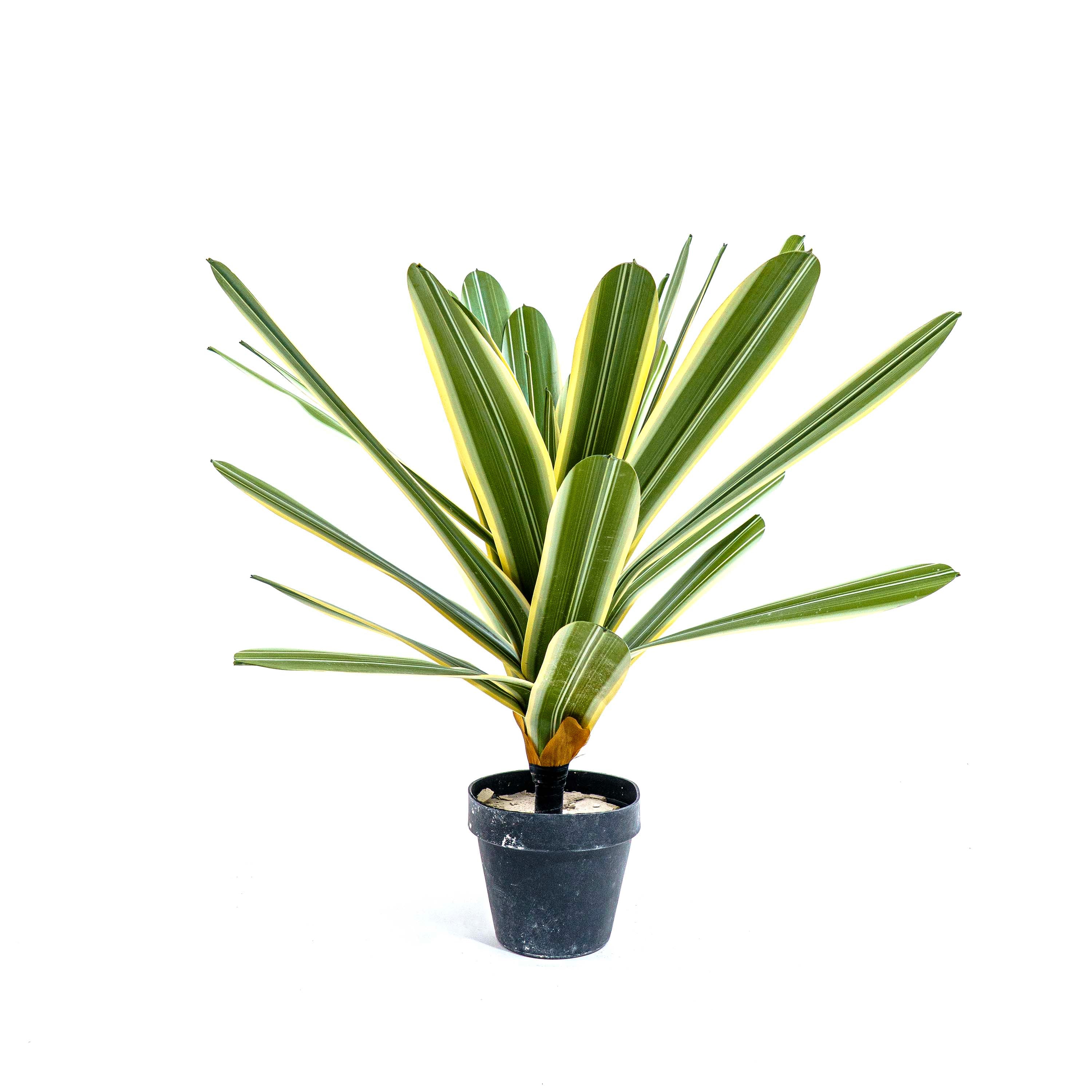 Verde Striata Faux Plant