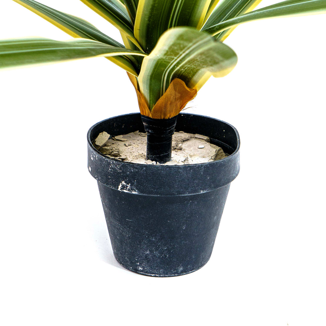 Verde Striata Faux Plant
