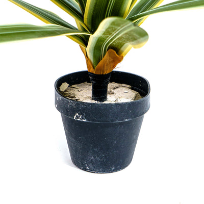 Verde Striata Faux Plant
