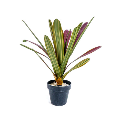 Crimson Crest Faux Plant