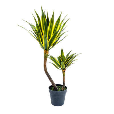 Twin Agave Faux Plant