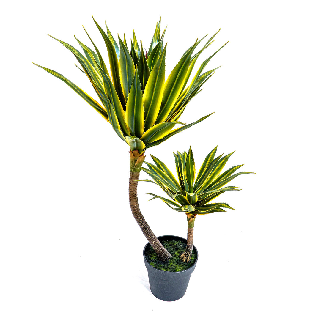 Twin Agave Faux Plant