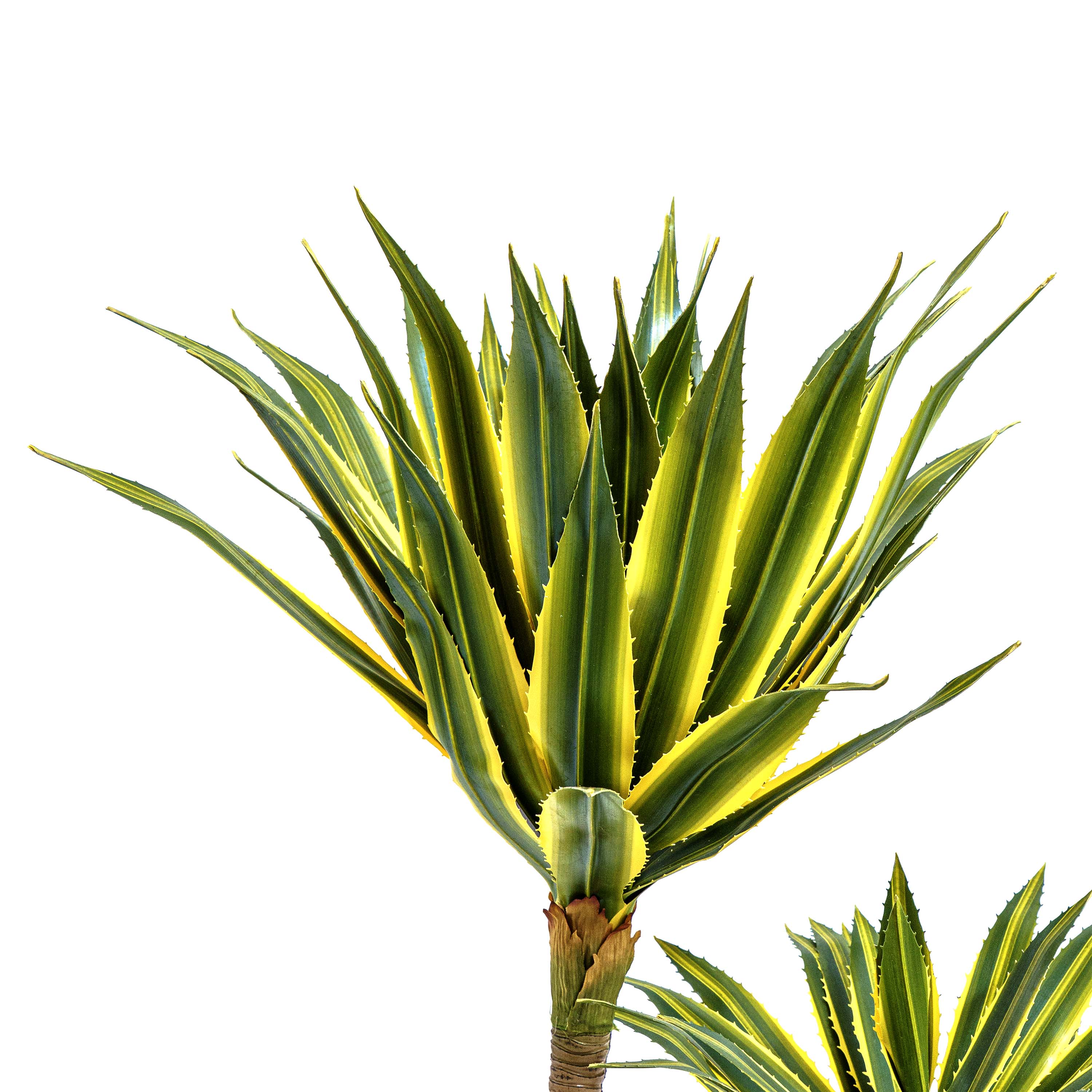 Twin Agave Faux Plant