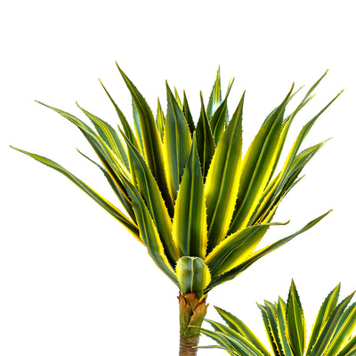 Twin Agave Faux Plant