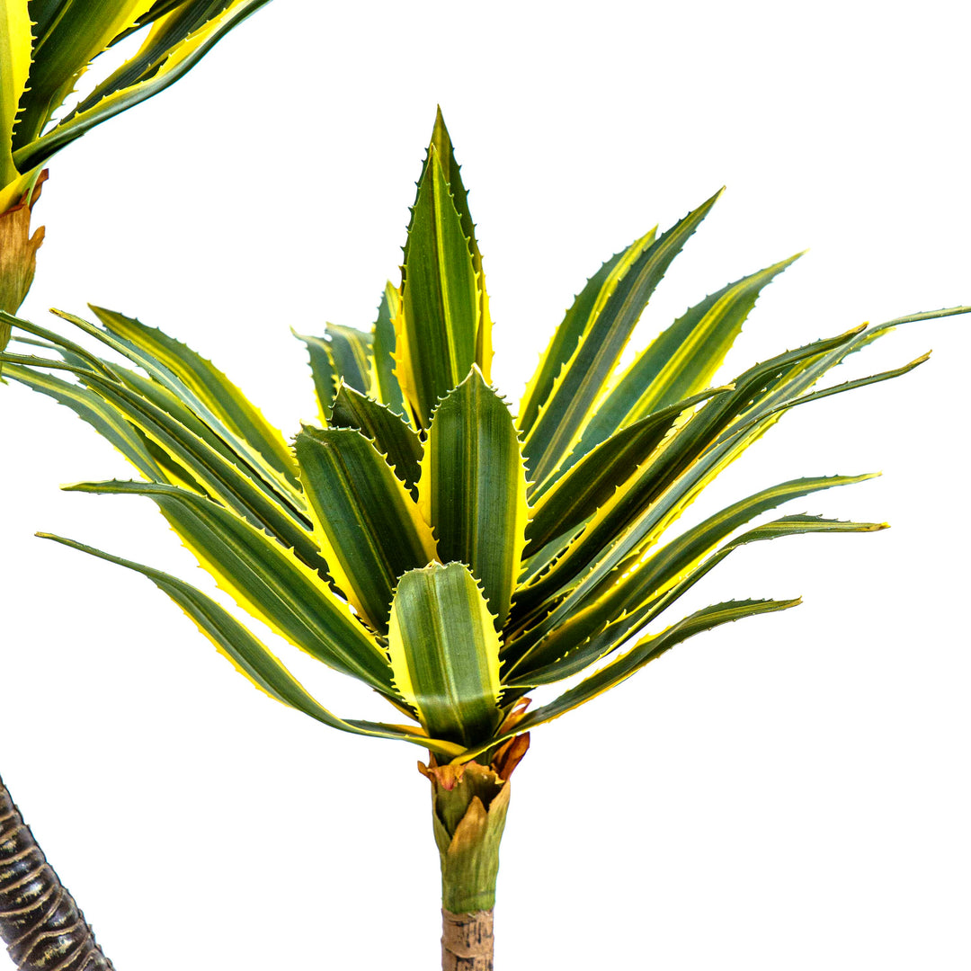 Twin Agave Faux Plant