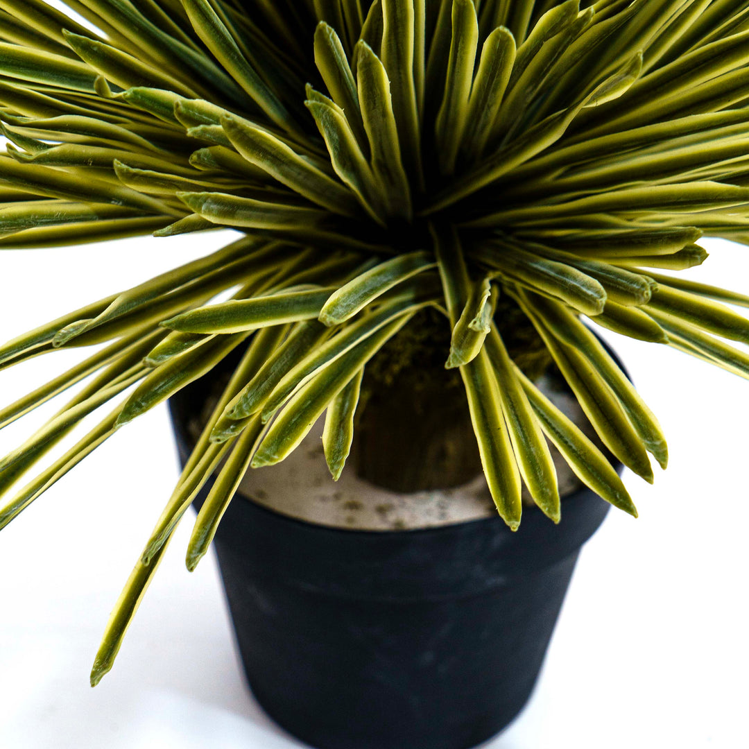 Sunburst Faux Dasylirion Plant