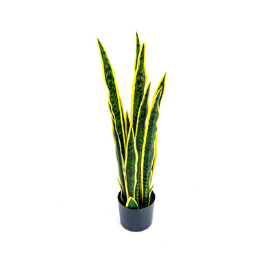Faux Golden Edge Snake Lily