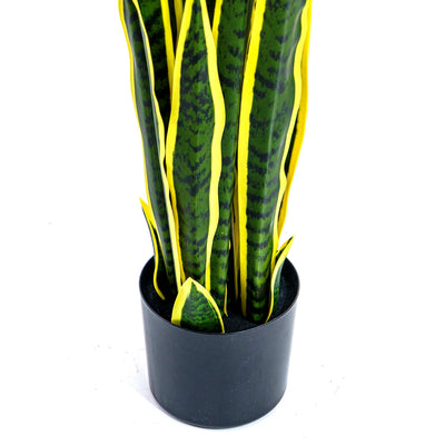 Faux Golden Edge Snake Lily