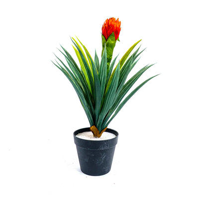 Faux Blazing Bloom Agave Spark