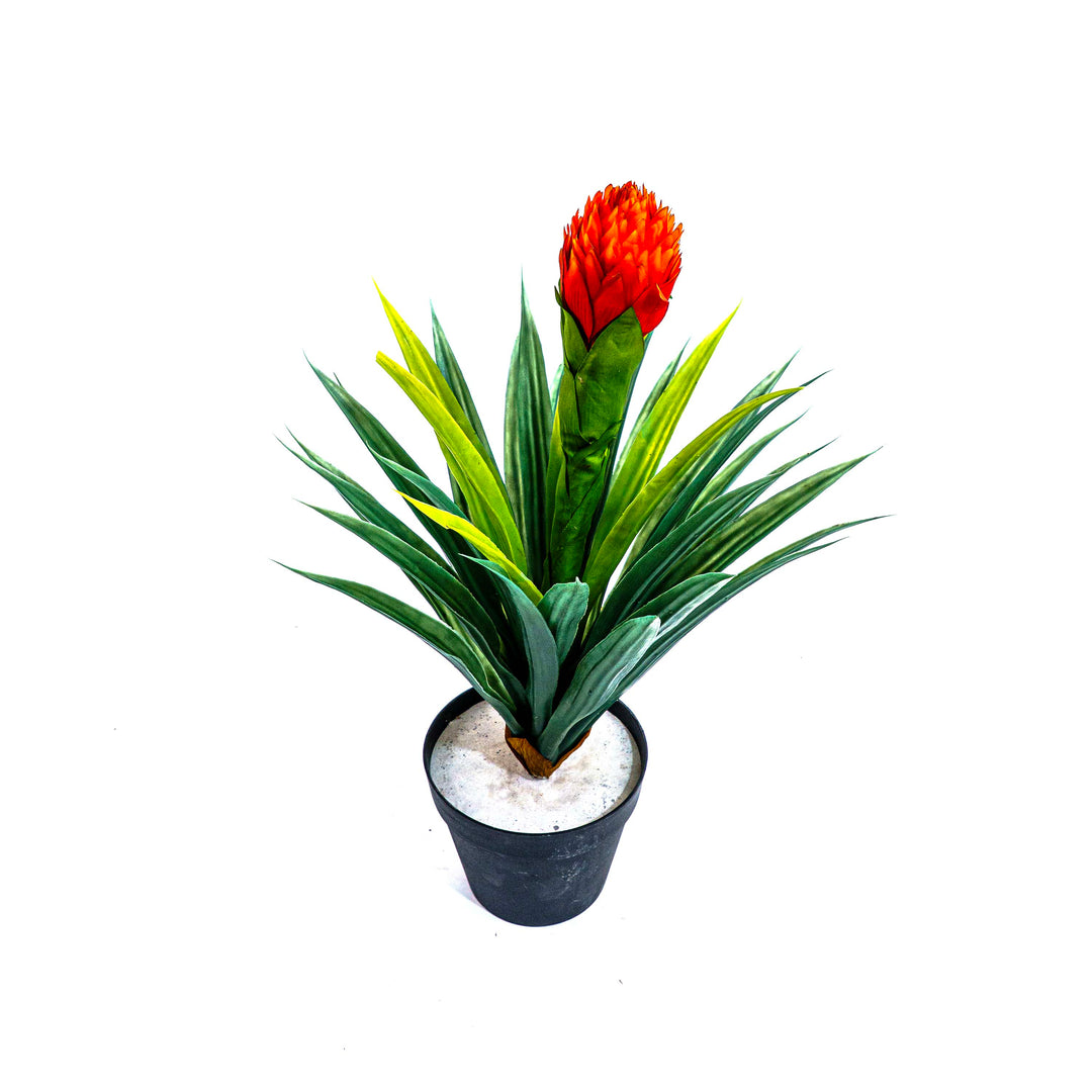 Faux Blazing Bloom Agave Spark