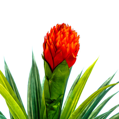 Faux Blazing Bloom Agave Spark