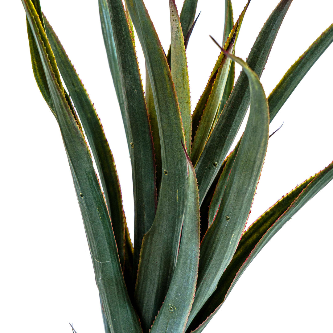 Faux Savanna Spike Pineapple Verde