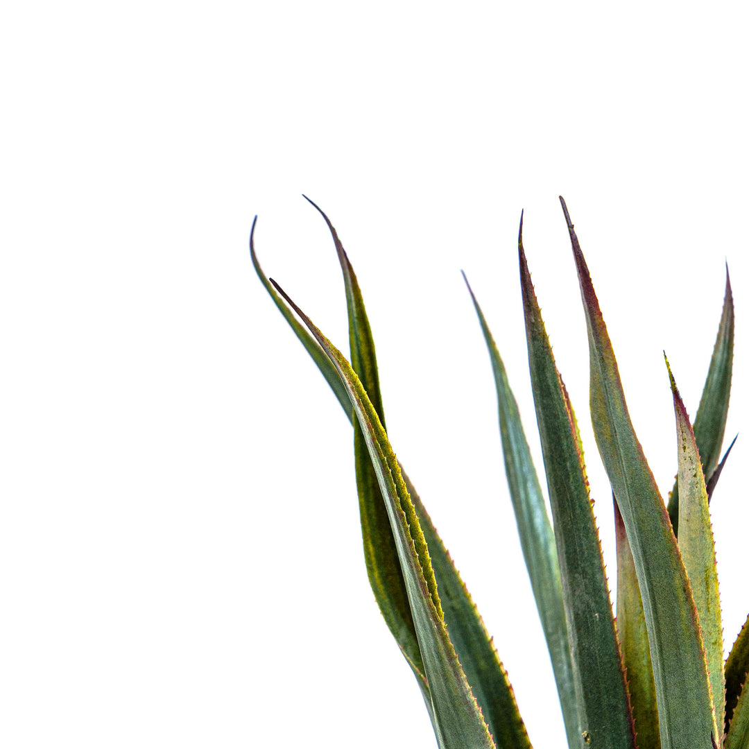 Faux Savanna Spike Pineapple Verde