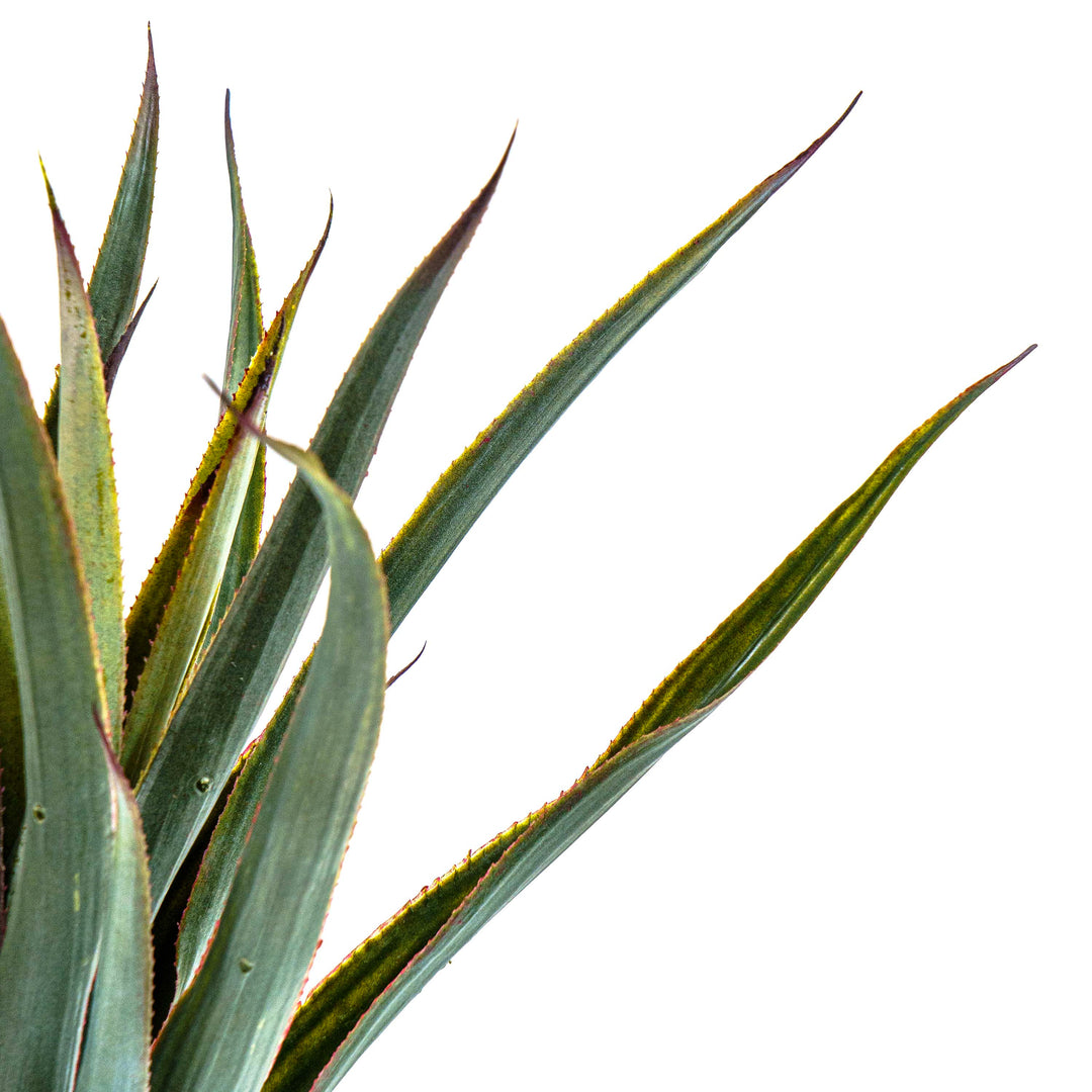 Faux Savanna Spike Pineapple Verde