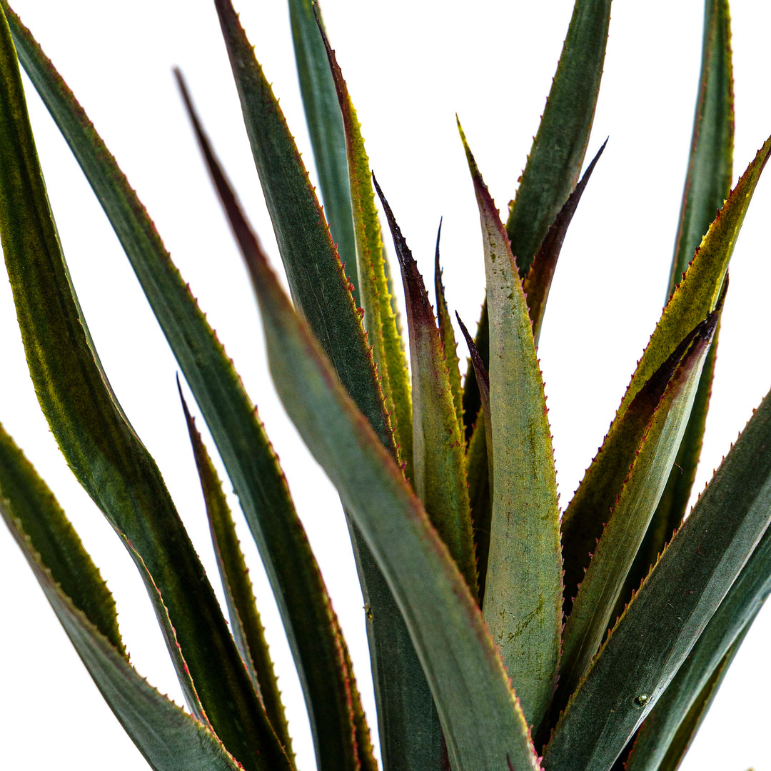 Faux Savanna Spike Pineapple Verde