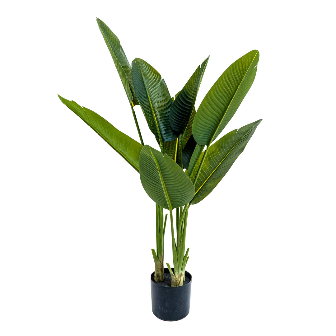 Faux Bird of Paradise Plant