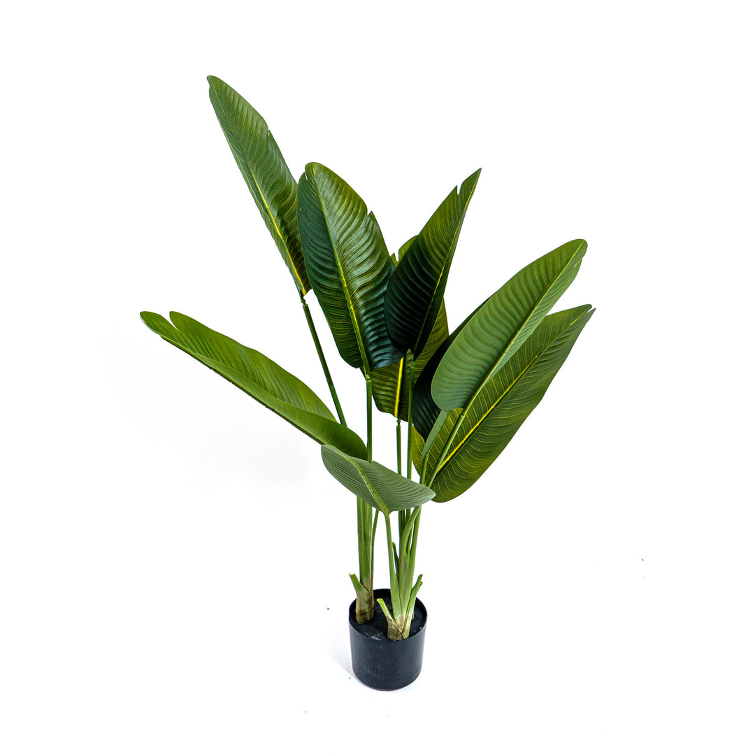 Faux Bird of Paradise Plant
