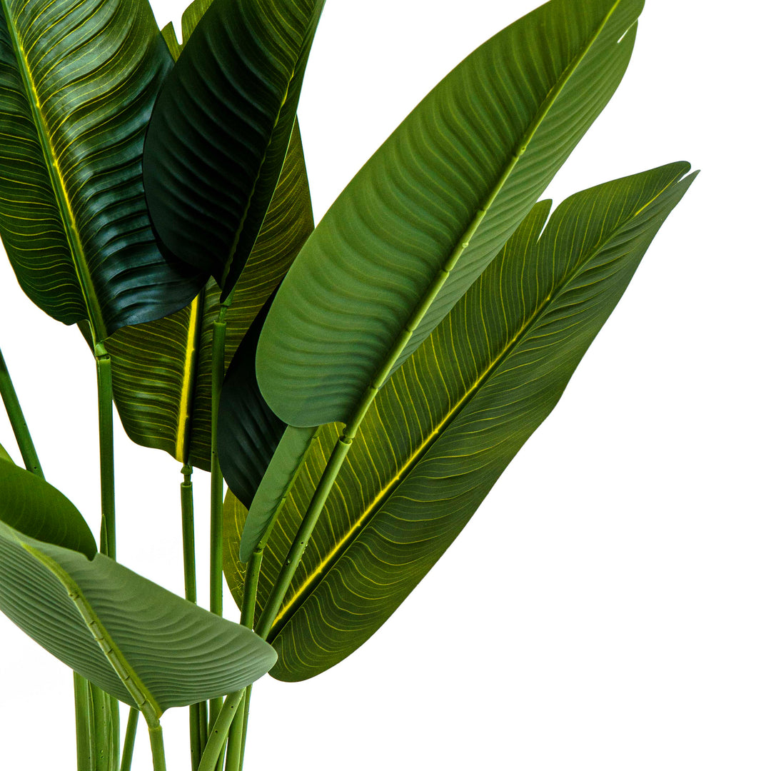 Faux Bird of Paradise Plant