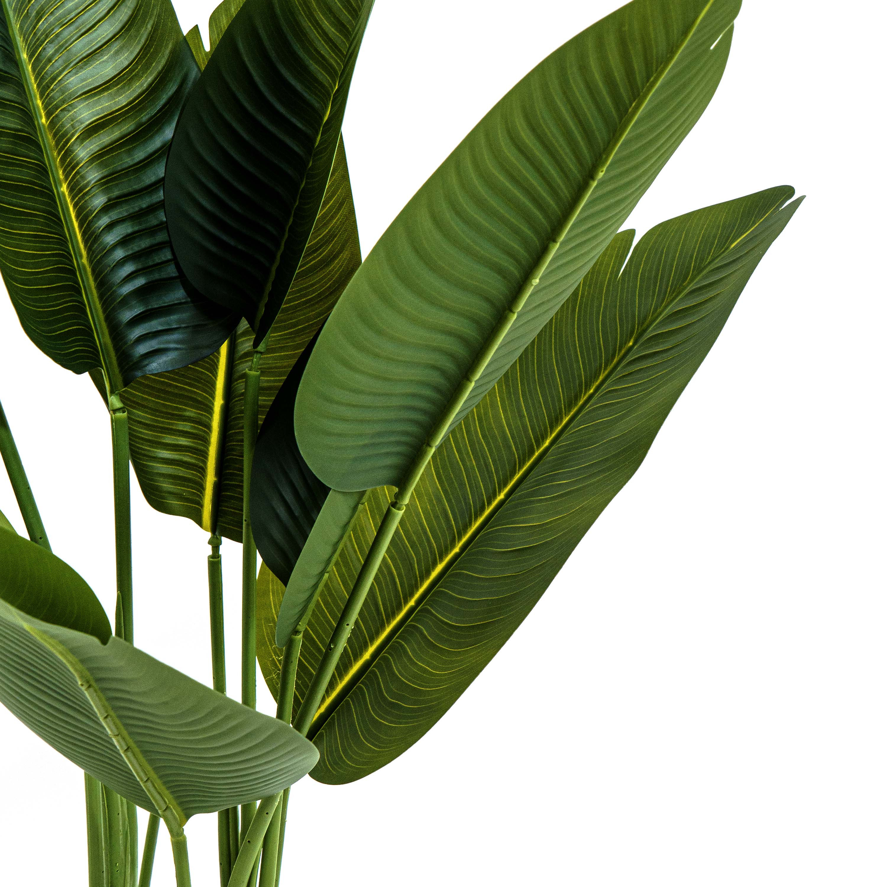 Faux Birds of Paradise Plant