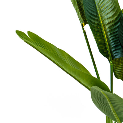 Faux Bird of Paradise Plant