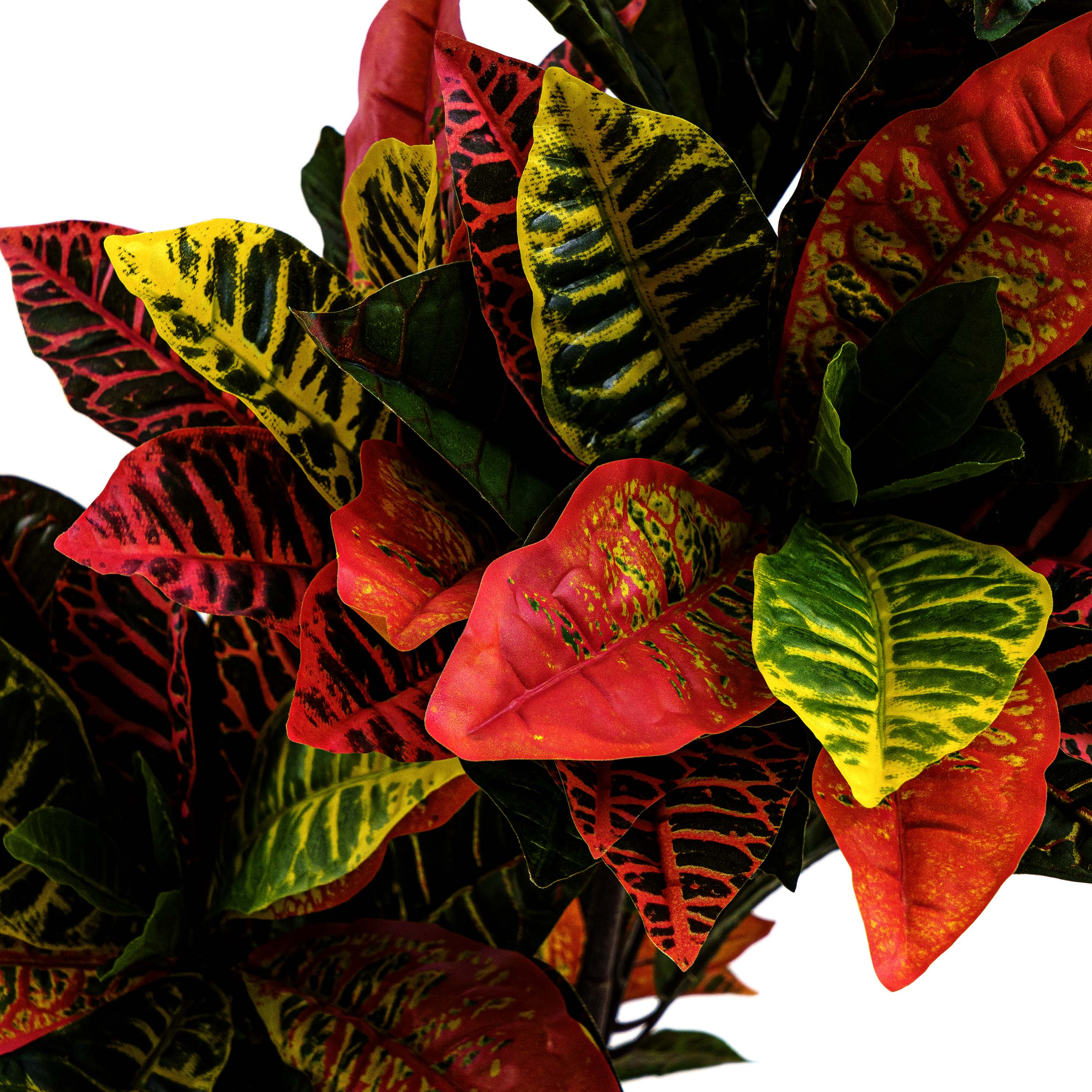 Faux Crotons Plant