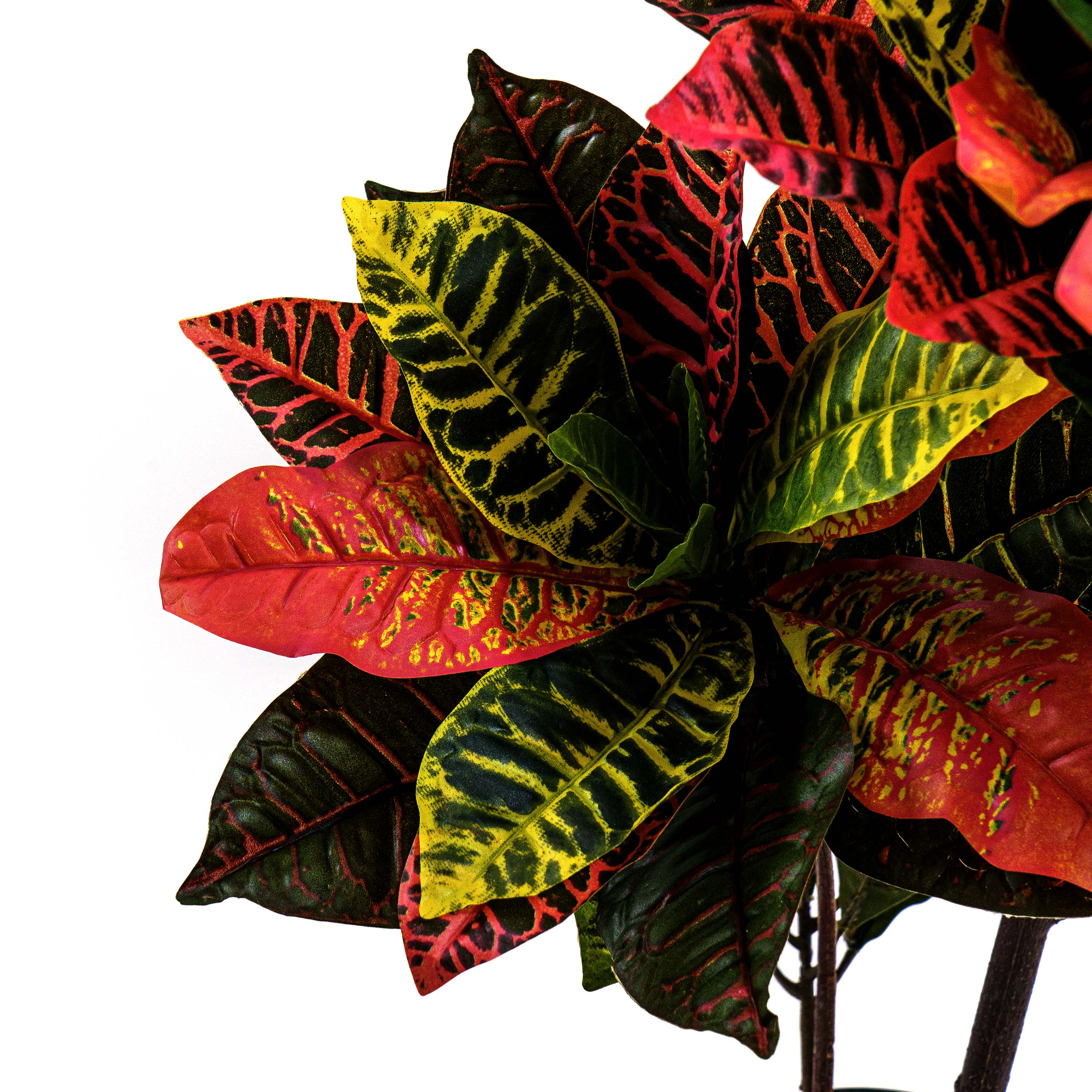 Faux Crotons Plant