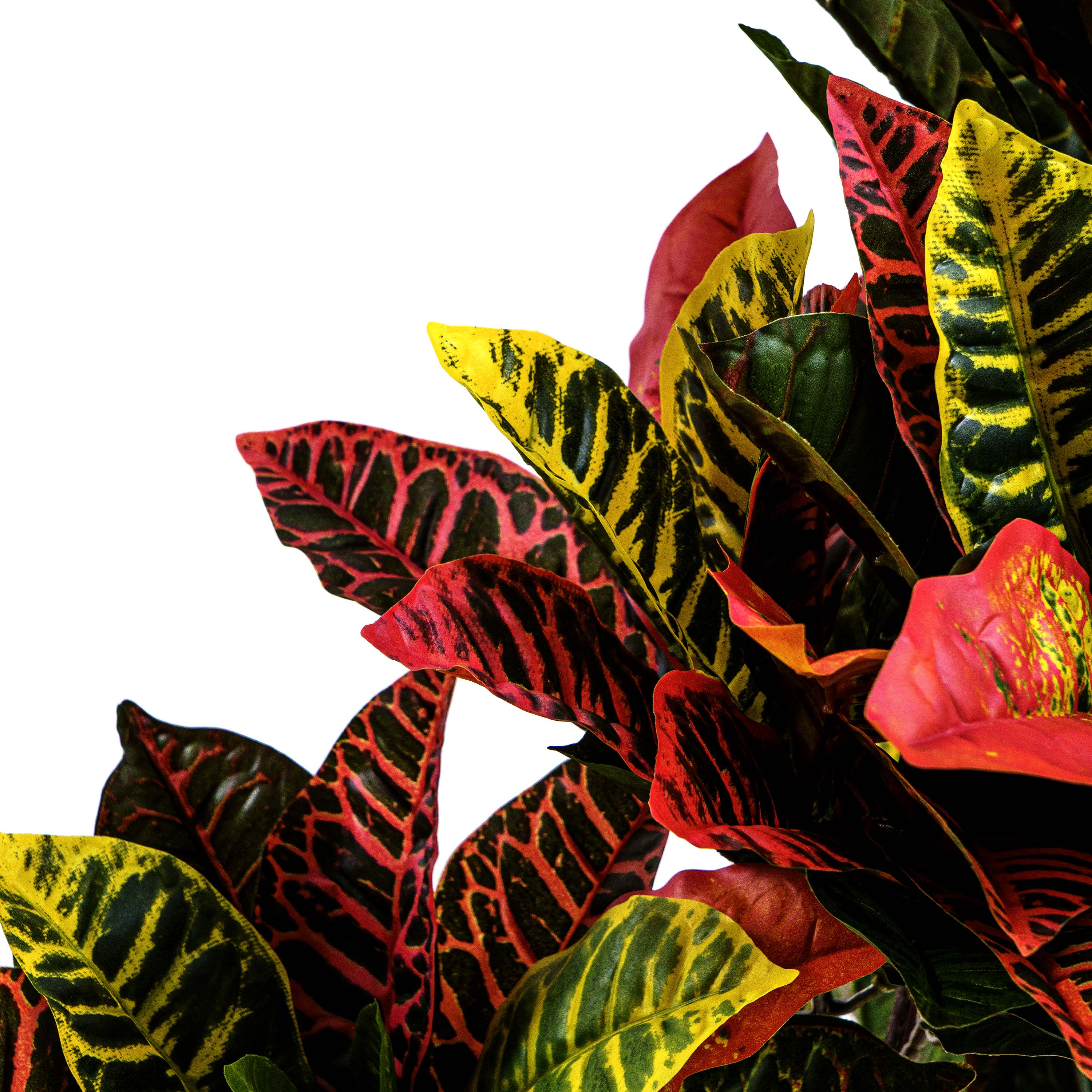Faux Crotons Plant