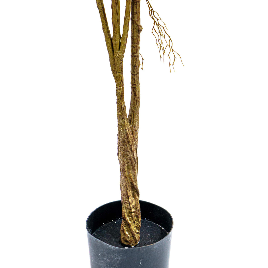 Fuax Golden Edge Ficus Plant