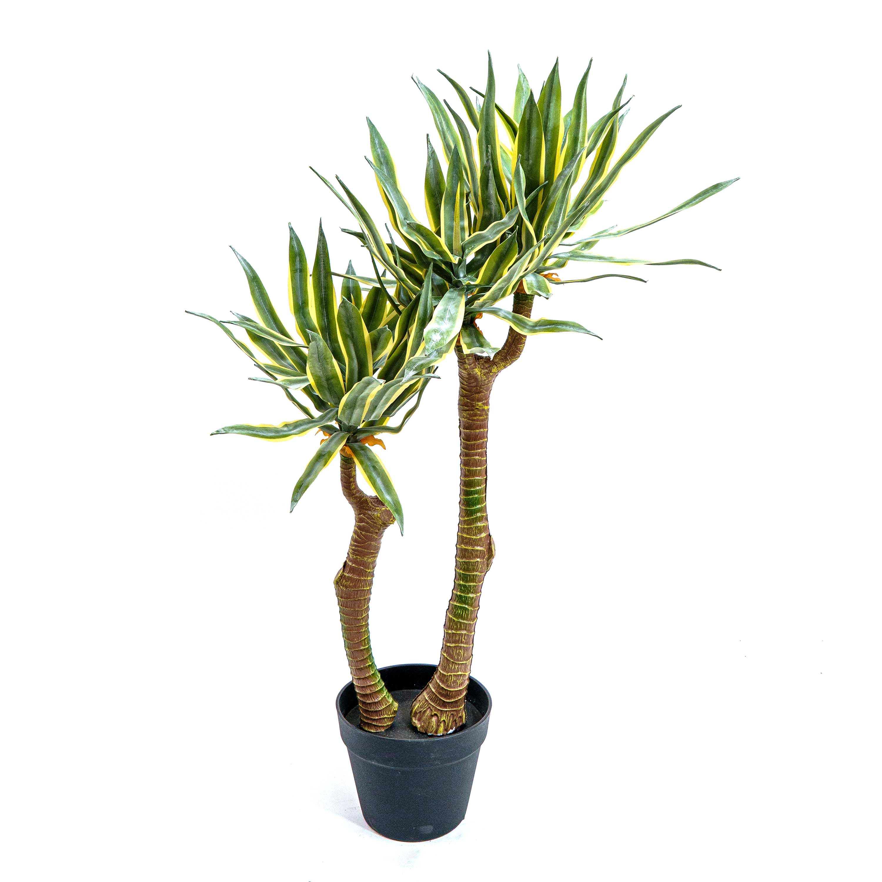 Faux Twin Trunk Agave Plant