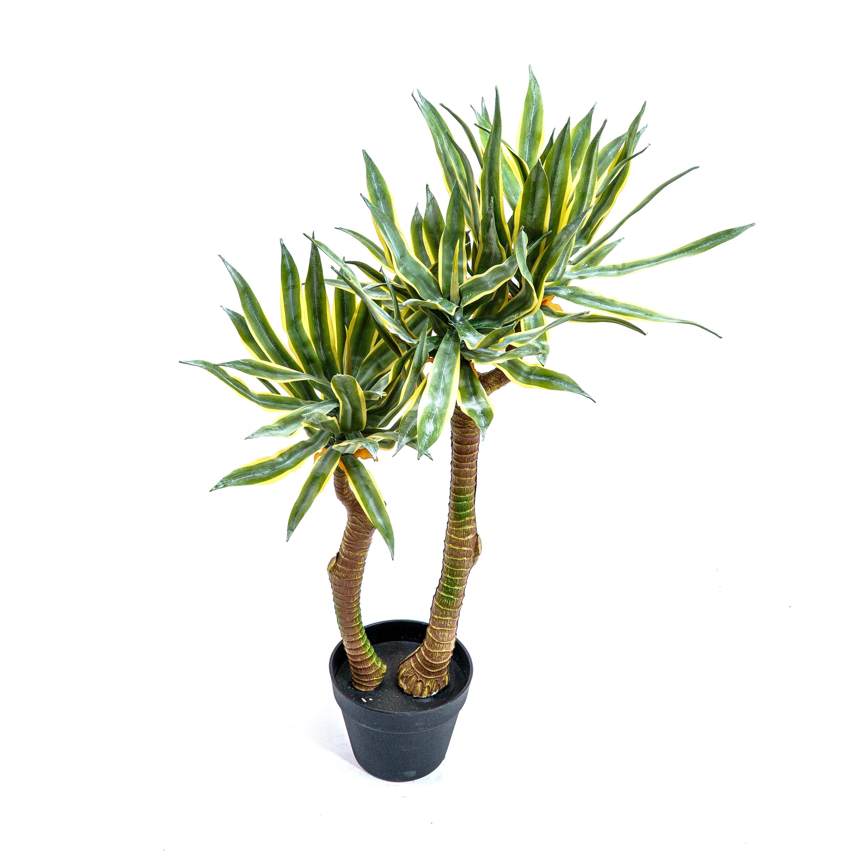 Faux Twin Trunk Agave Plant