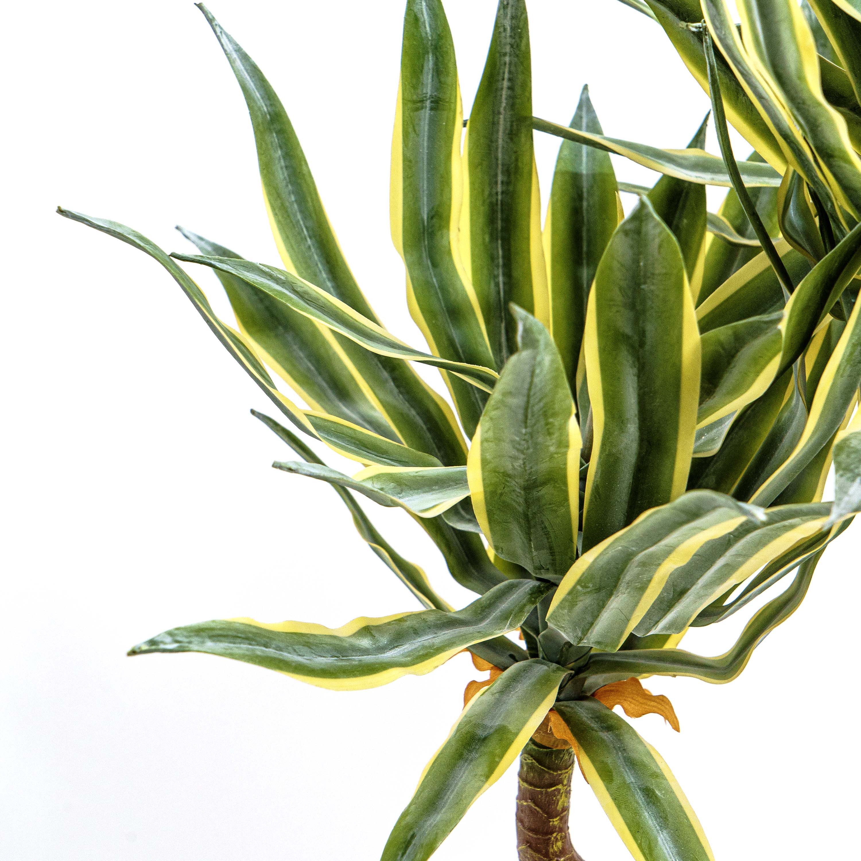 Faux Twin Trunk Agave Plant