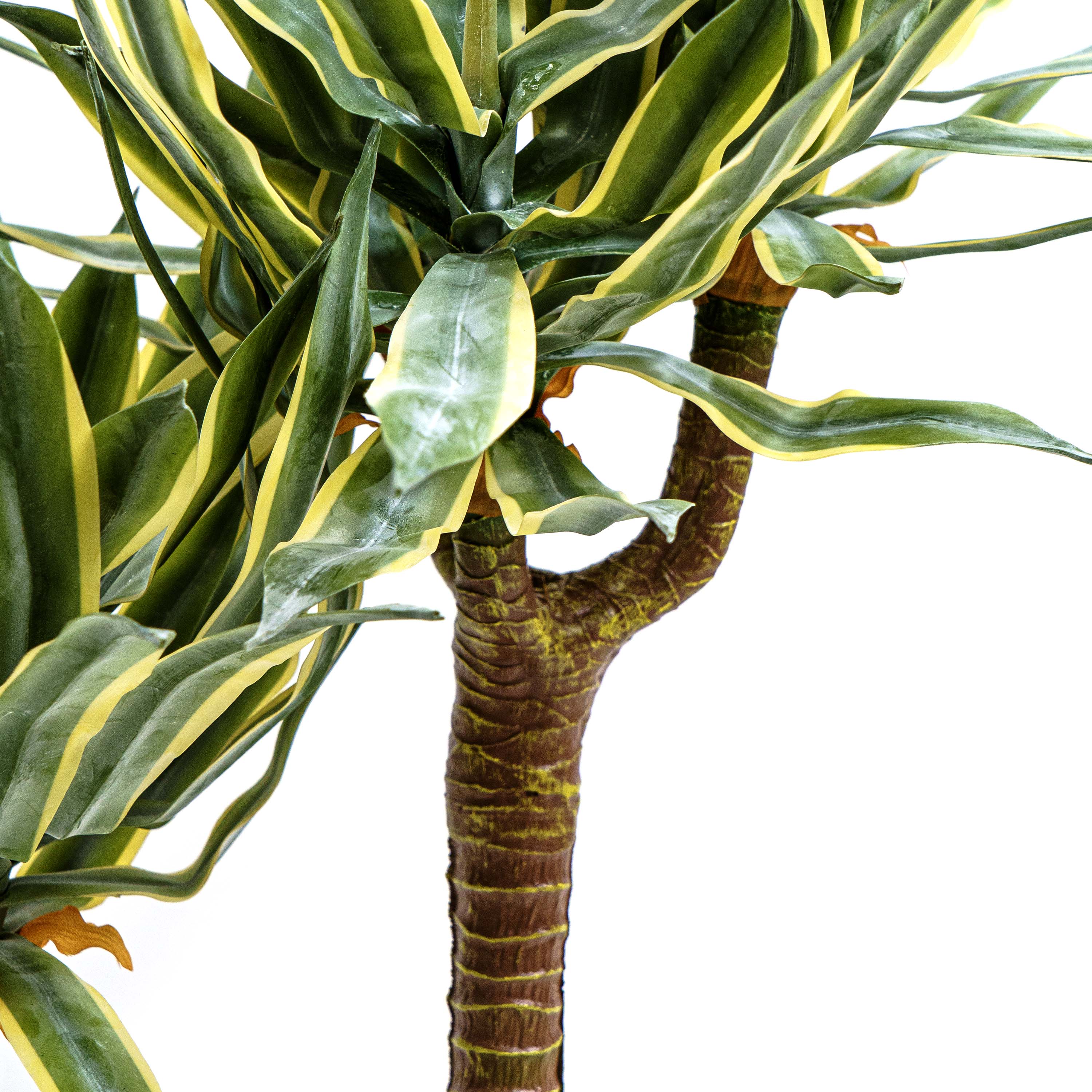 Faux Twin Trunk Agave Plant