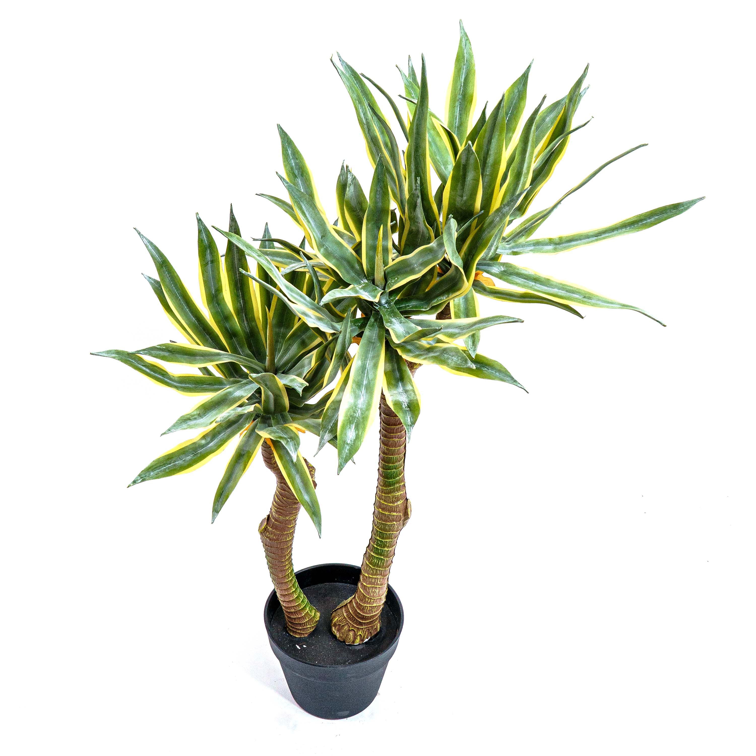 Faux Twin Trunk Agave Plant