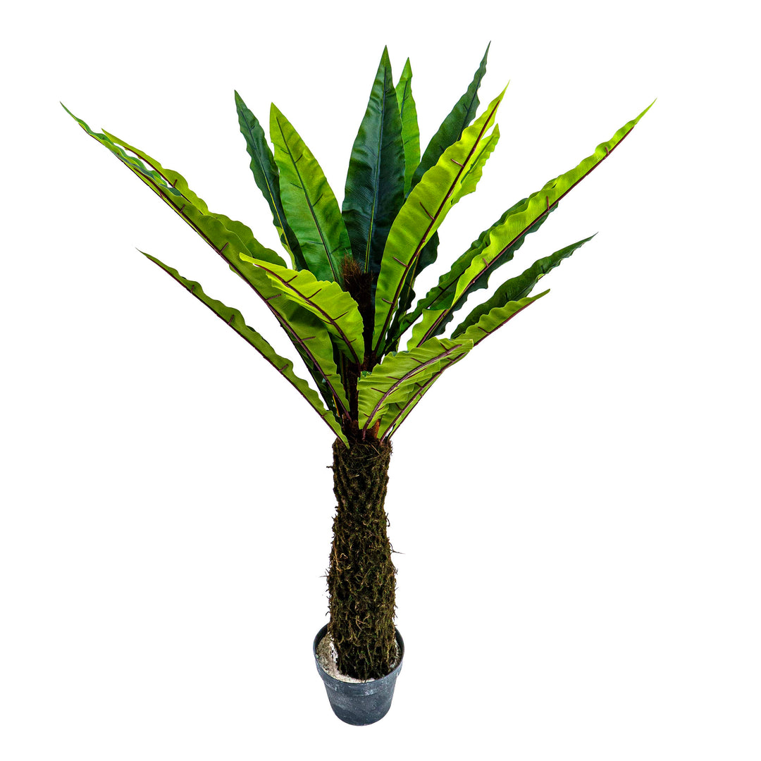 Faux Jungle Crown Cycad Regal