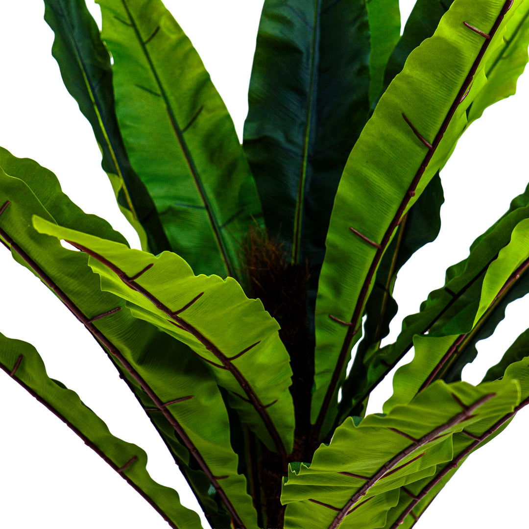 Faux Jungle Crown Cycad Regal