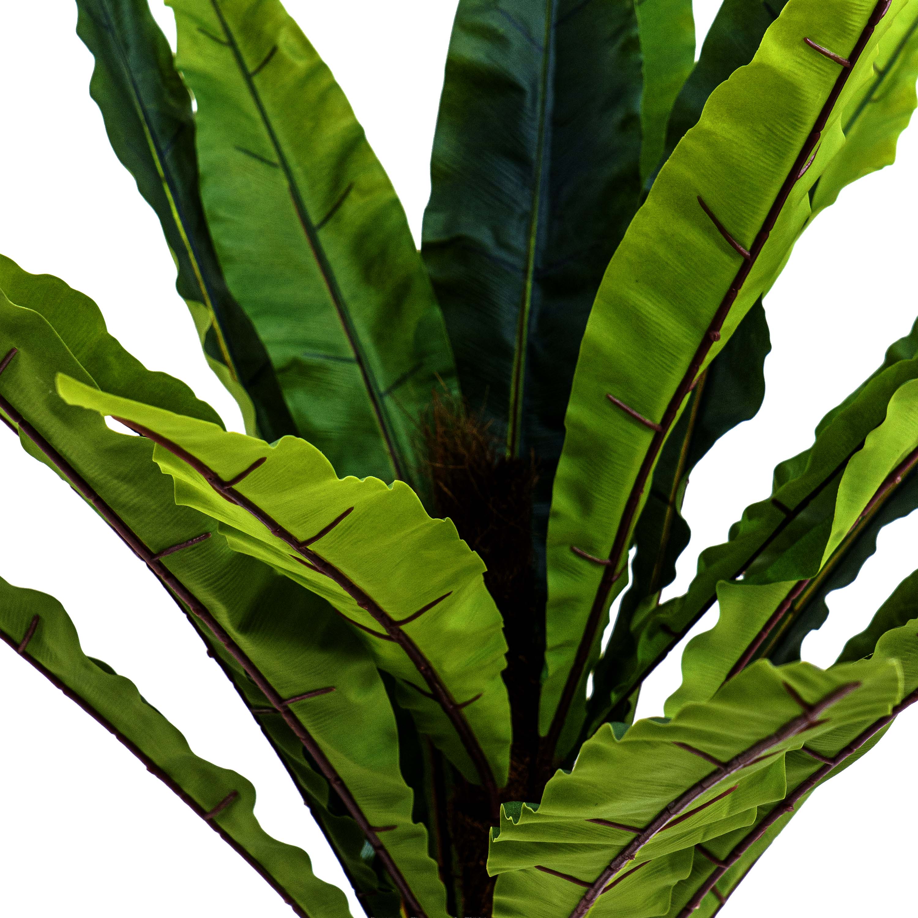 Faux Jungle Crown Cycad Regal