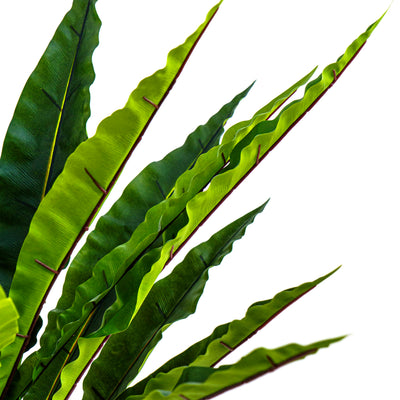 Faux Jungle Crown Cycad Regal