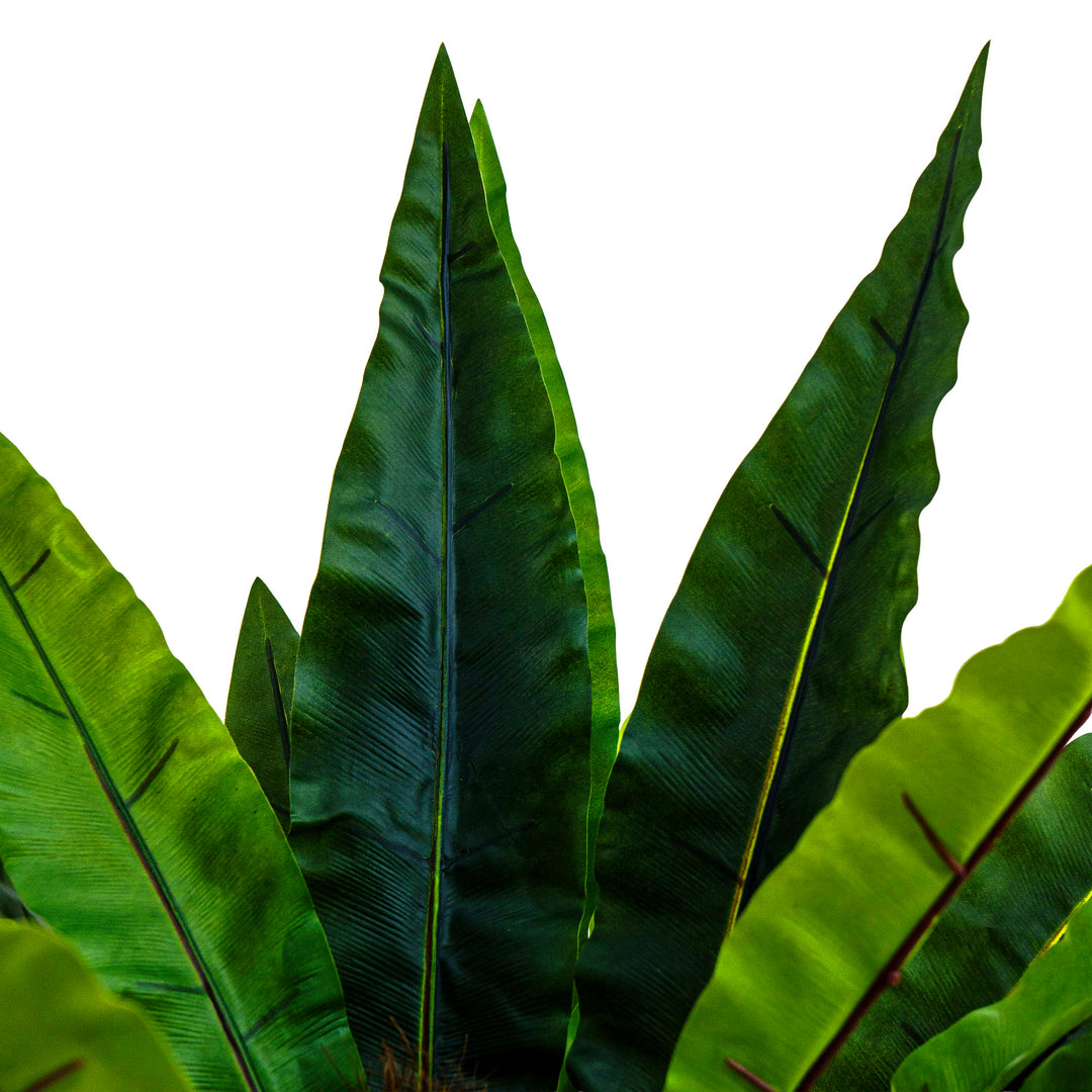 Faux Jungle Crown Cycad Regal