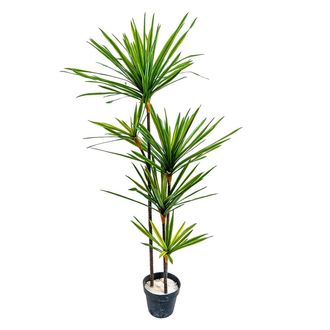 dracaena elegance Buy Planters |Verdi Blue Fluted Metal Pot |Shop at Beruru