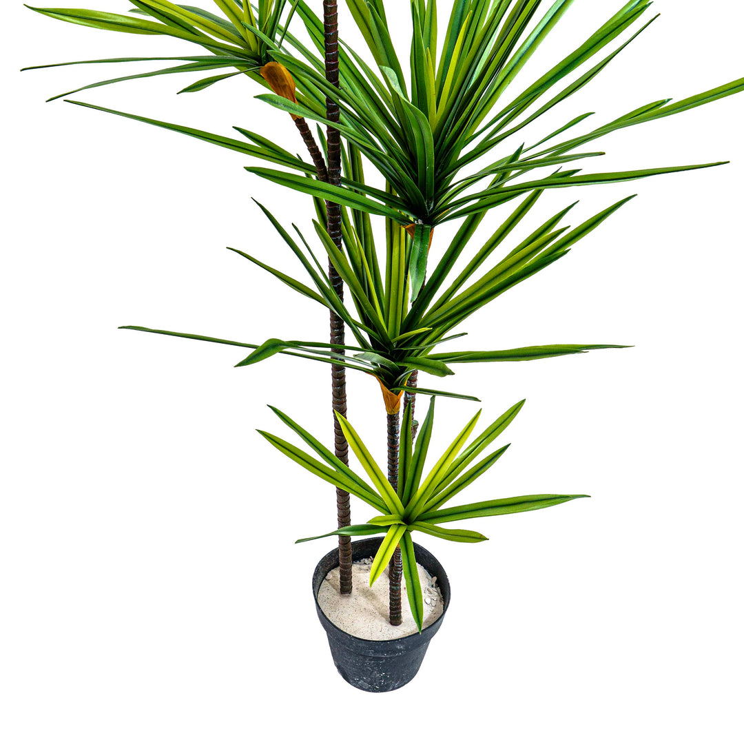 Faux Twin Canopy Dracaena Elegance