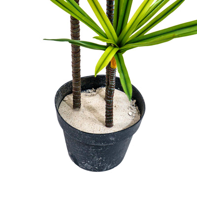 Faux Twin Canopy Dracaena Elegance
