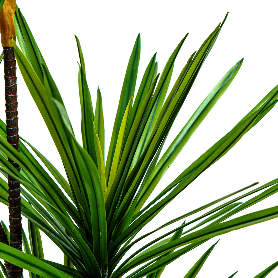 Faux Twin Canopy Dracaena Elegance