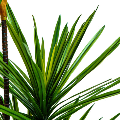 Faux Twin Canopy Dracaena Elegance