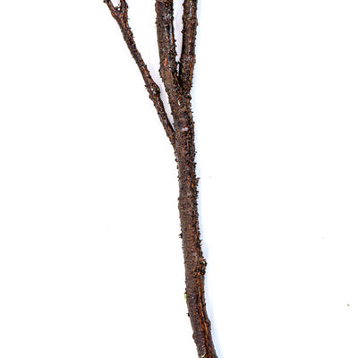 Rustic Pinecone Faux Stem